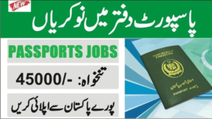 Read more about the article Directorate General Immigration & Passports DGIP Jobs 2024 | NTS Registration